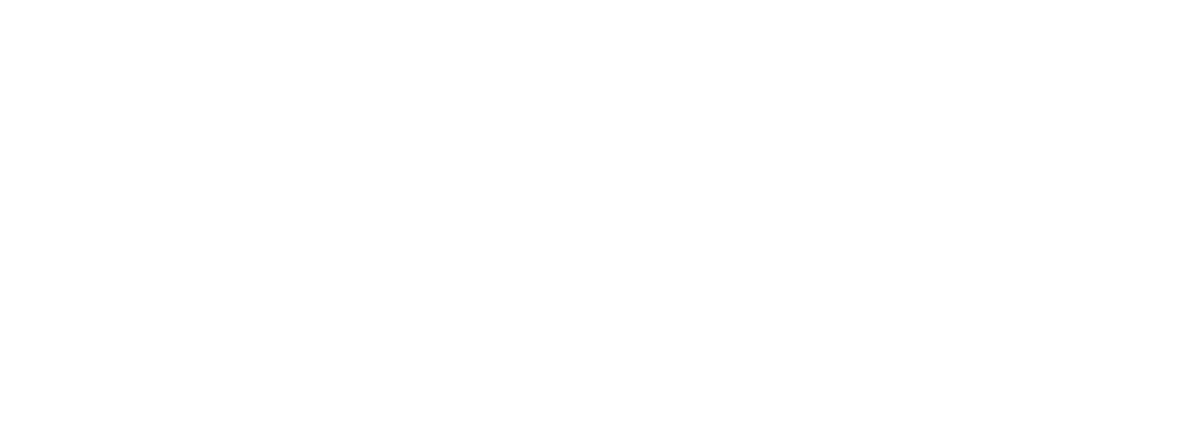 AUB Mediterraneo Logo